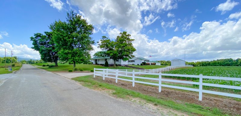 Business and industrial assets prepared for auction