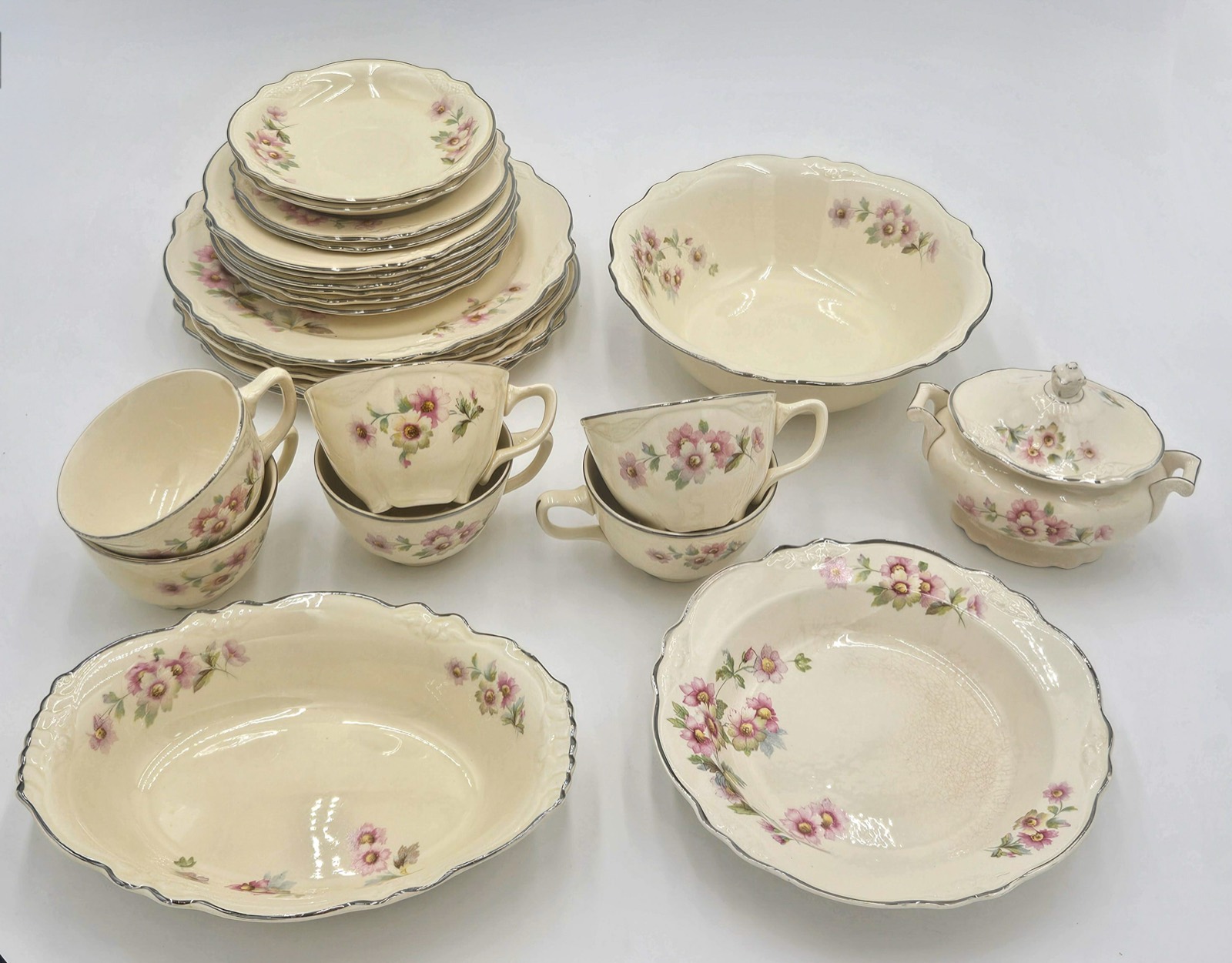 Homer Laughlin Virginia Rose china service, cataloged and photographed for auction